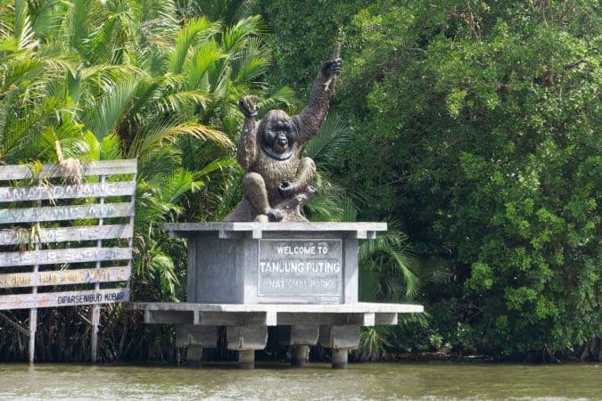 Tanjung Puting National Park: The Complete Visitor Guide