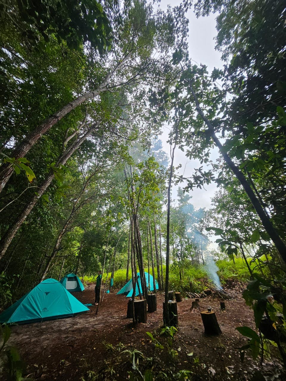 4 Days, 3 Nights — River & Jungle (incl. Camp Leakey) — photo 6